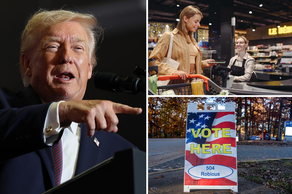 Trump says ‘pricing’ will decide next year’s elections