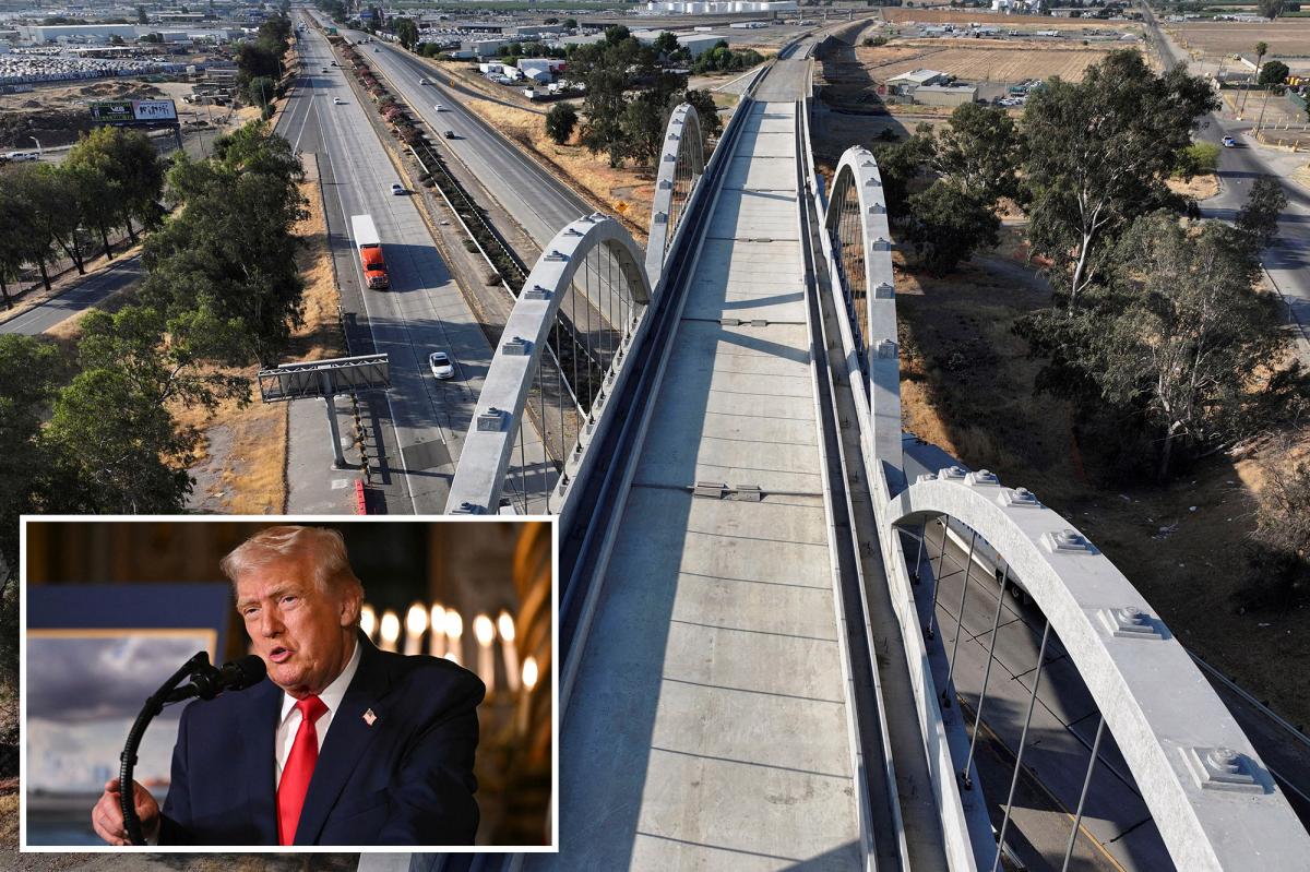 Cali abandons lawsuit challenging Trump decision to cancel over B in high-speed rail funds