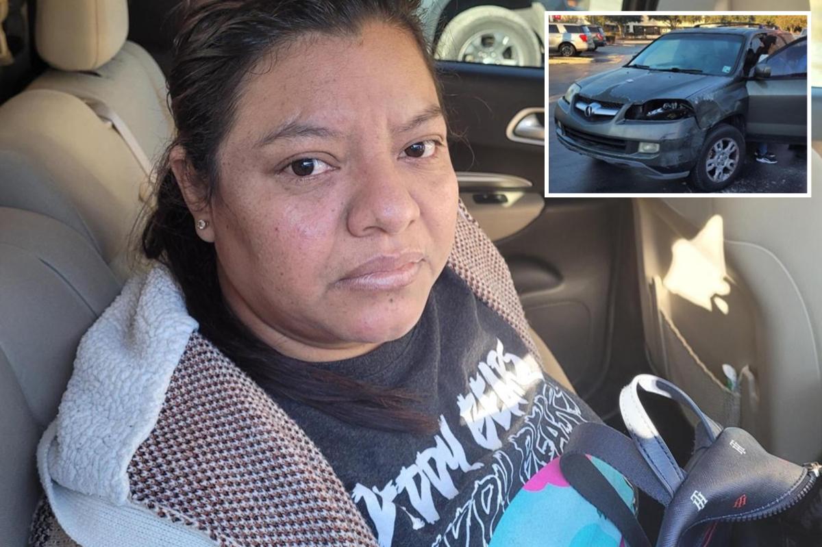 ‘Unlucky’ illegal immigrant allegedly runs red light and crashes into ICE vehicle