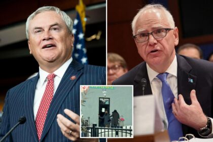 Powerful House panel to investigate Minnesota fraud: ‘Cannot be swept aside’