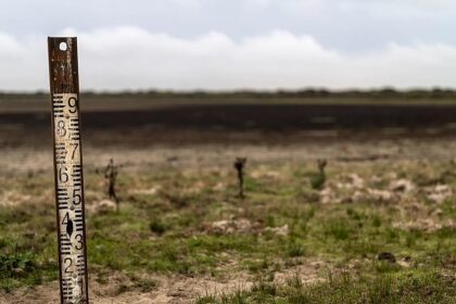 EU auditors question ‘unclear’ impact of LIFE environmental funds