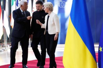 Danish minister: Joining EU alone insufficient for Ukraine’s security