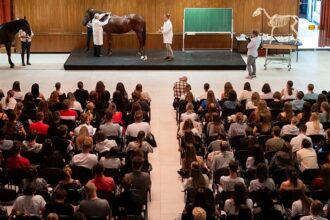 UK to rejoin EU’s Erasmus+ student mobility fund in 2027