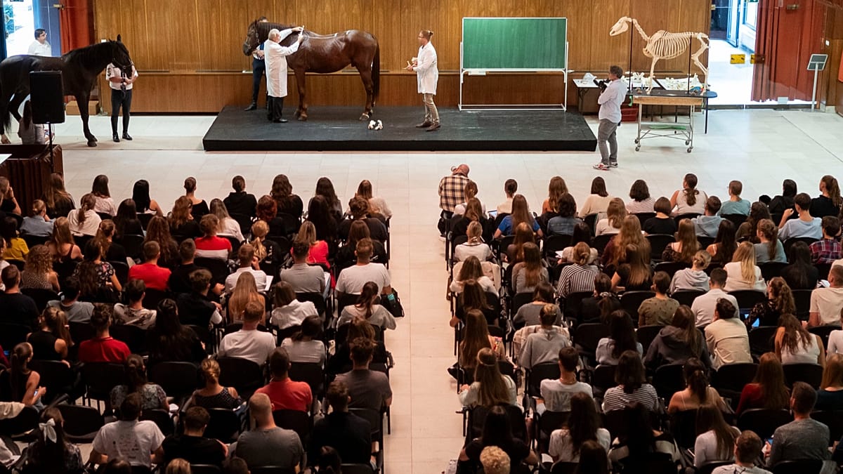 UK to rejoin EU’s Erasmus+ student mobility fund in 2027