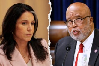 Gabbard blasts Democrat Bennie Thompson for calling National Guard shooting an ‘unfortunate accident’