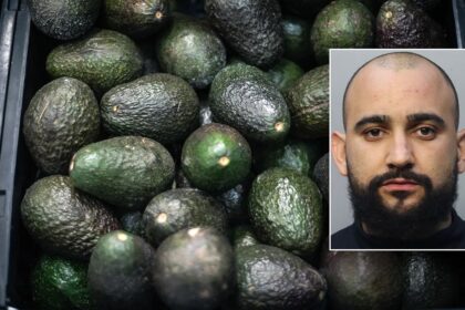 Florida man allegedly steals 400 pounds of avocados to buy Christmas presents for children