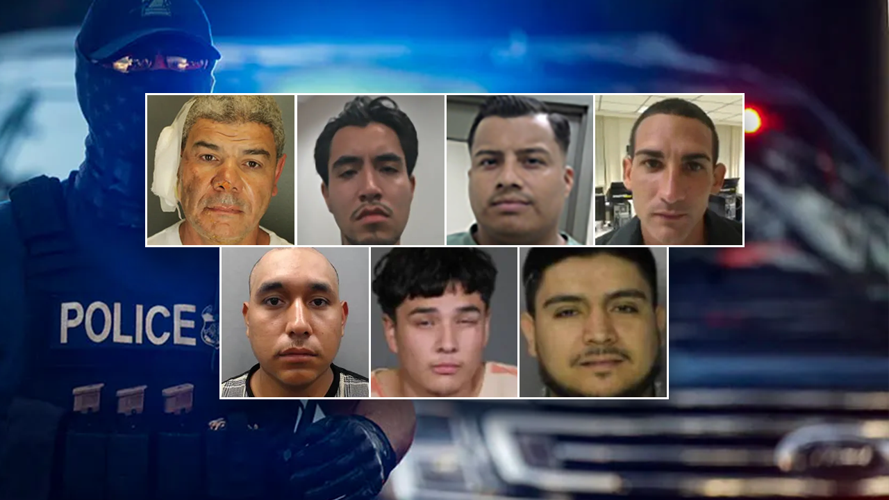 ‘Worst of the worst’: The 10 most violent illegal immigrants nabbed in 2025