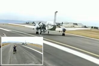 Small plane lands itself in first-ever use of automated aviation tech during mid-air emergency