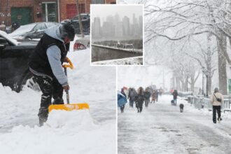 Let it snow! NYC braces for winter coating with NJ, Long Island forecast for more in evening storm