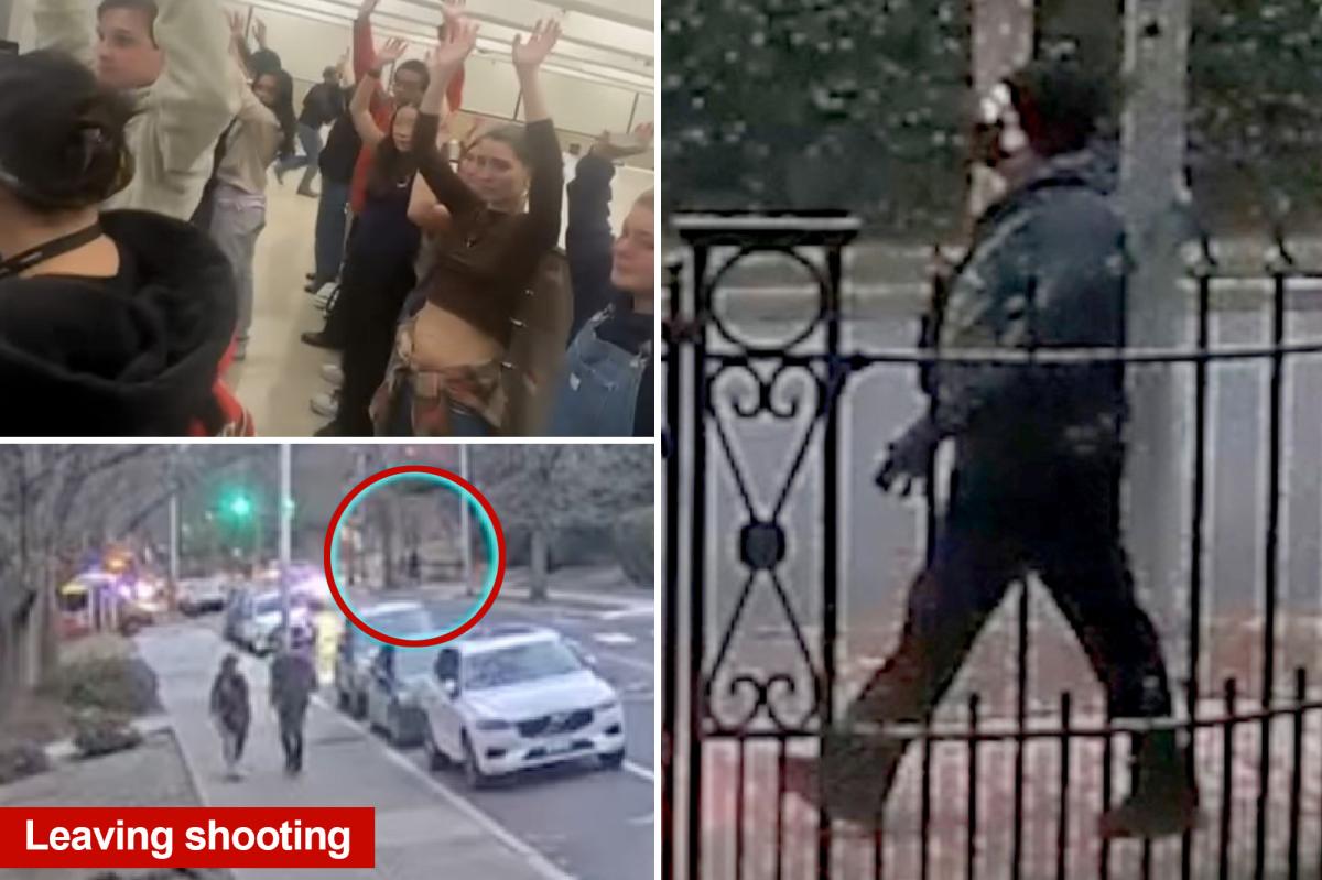 Providence police admit Brown University mass shooter ‘could be anywhere’ as manhunt drags into 5th day