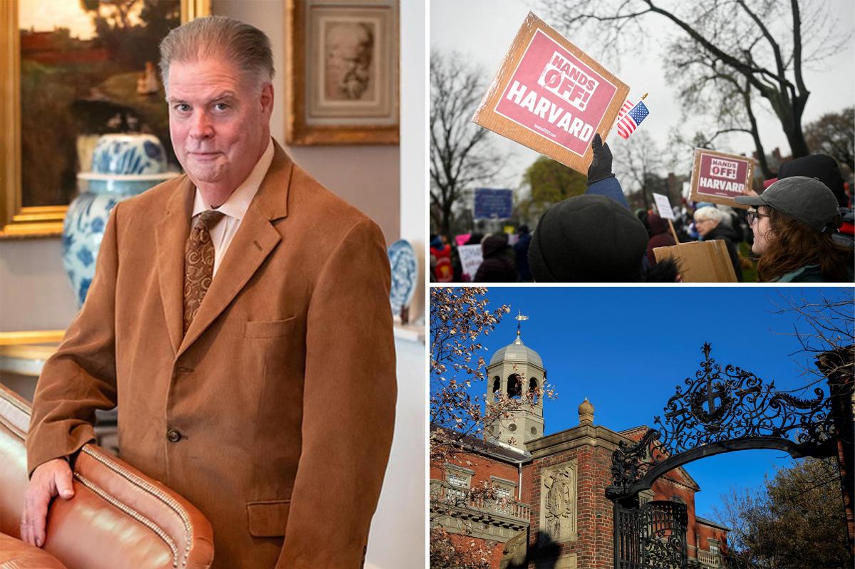 Harvard prof torches Ivy League school over woke anti-white, anti-male culture in blistering essay