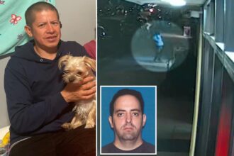 NJ maniac killed random stranger with bow and arrow before fiery, hours-long standoff with cops: video