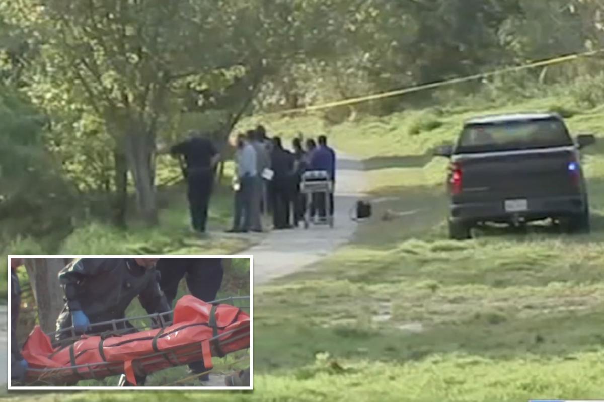More than 30 bodies recovered from Houston-area bayous this year, sparking serial killer fears