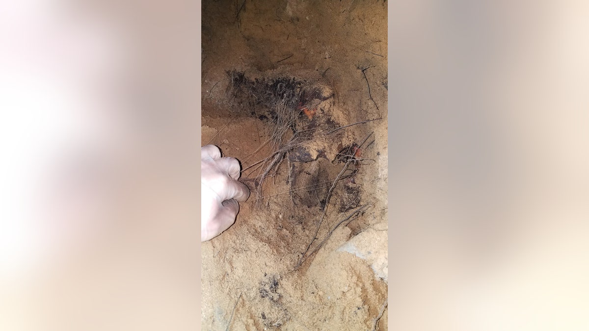 A close up of of Chris Carroll's hand finding clothing fibers in the hole he's dug in the basement.