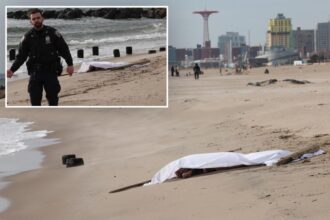 Dead body washes ashore on NYC beach Christmas morning