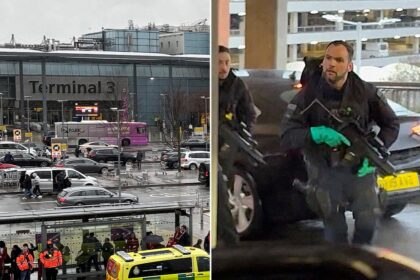 Toddler among 21 victims in pepper spray, robbery attack at London airport