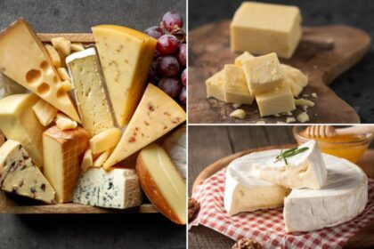 Which cheeses to eat — and avoid — when considering heart health this holiday season: experts