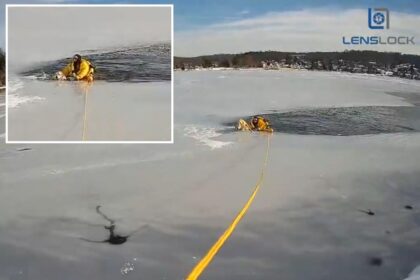 Dog stranded in middle of frozen New Jersey lake saved by daring police officer
