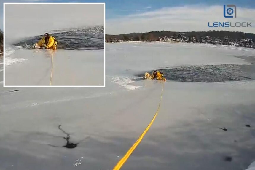 Dog stranded in middle of frozen New Jersey lake saved by daring police officer