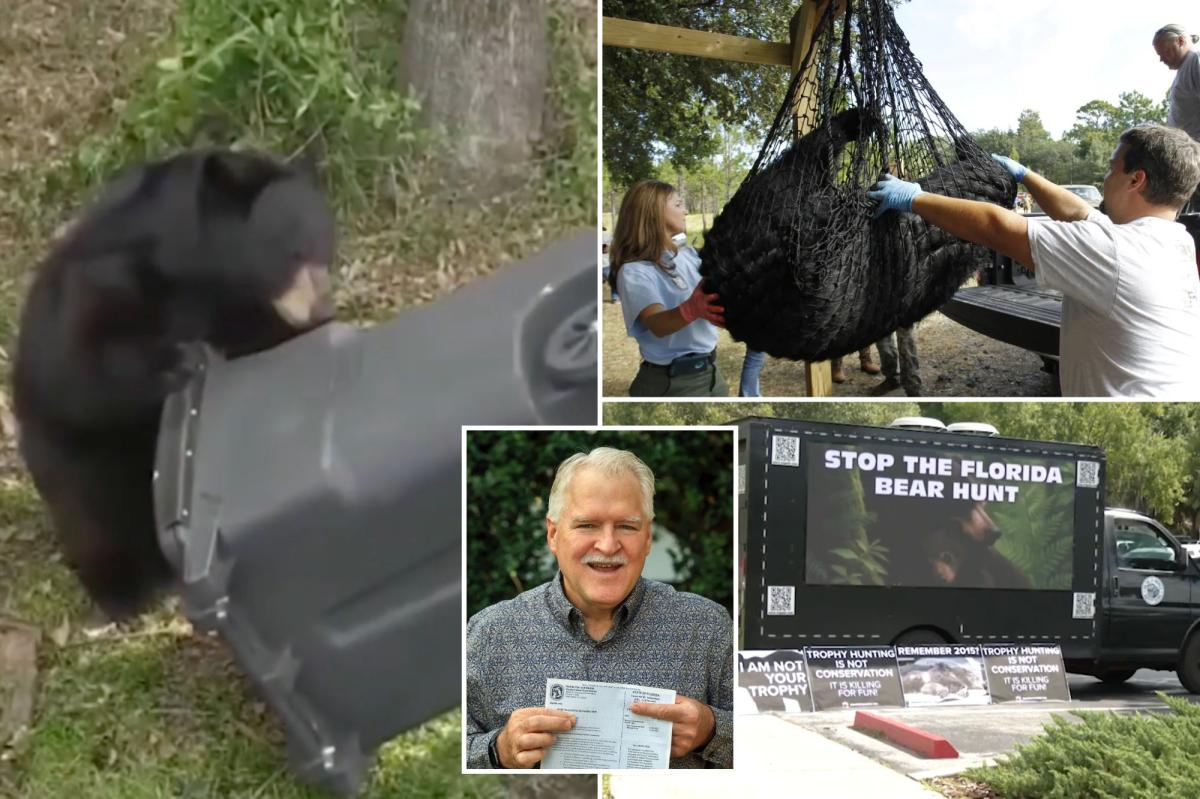 Florida kicks off first black bear hunt in a decade, despite pushback