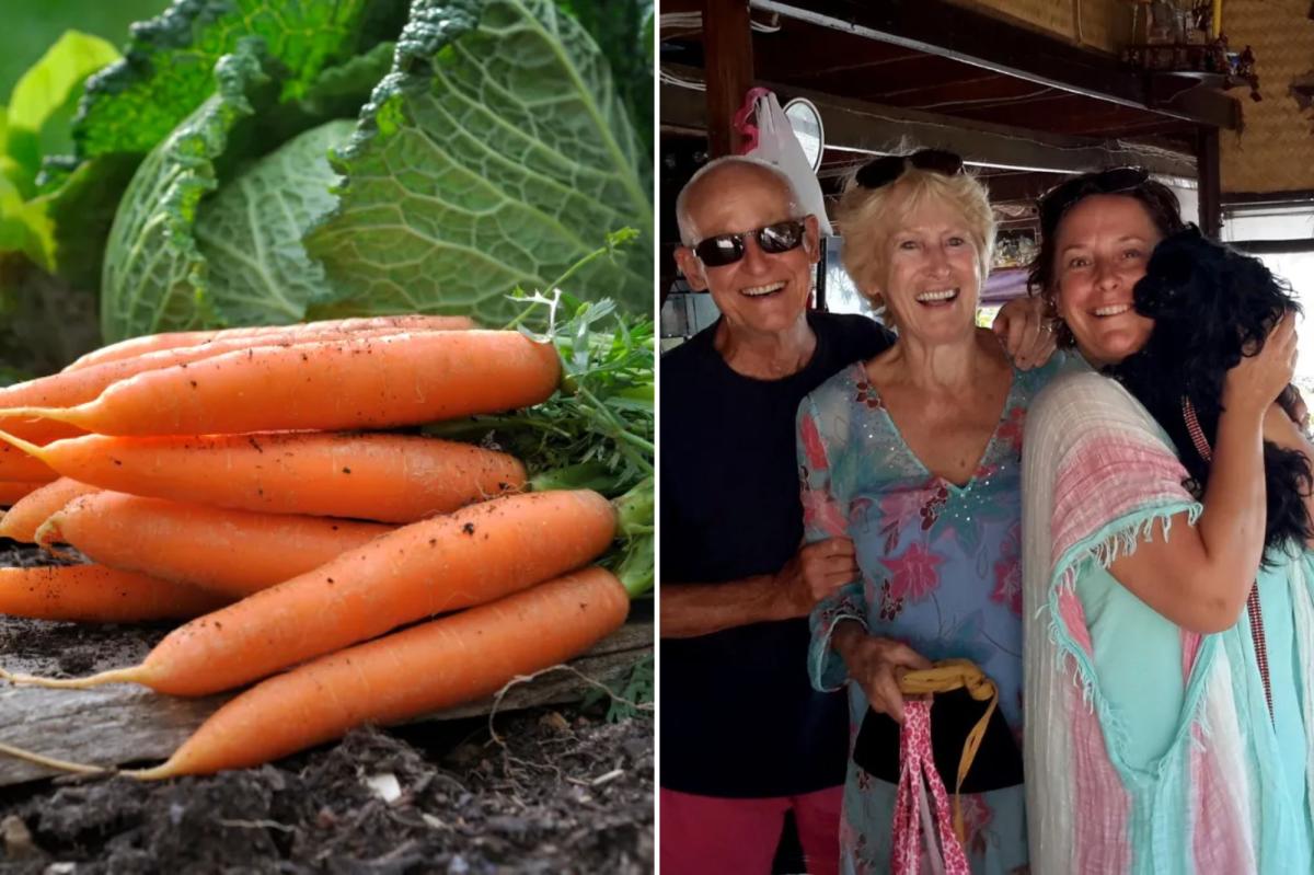 Family loses it over X-rated carrot meant to be cooked for Christmas dinner