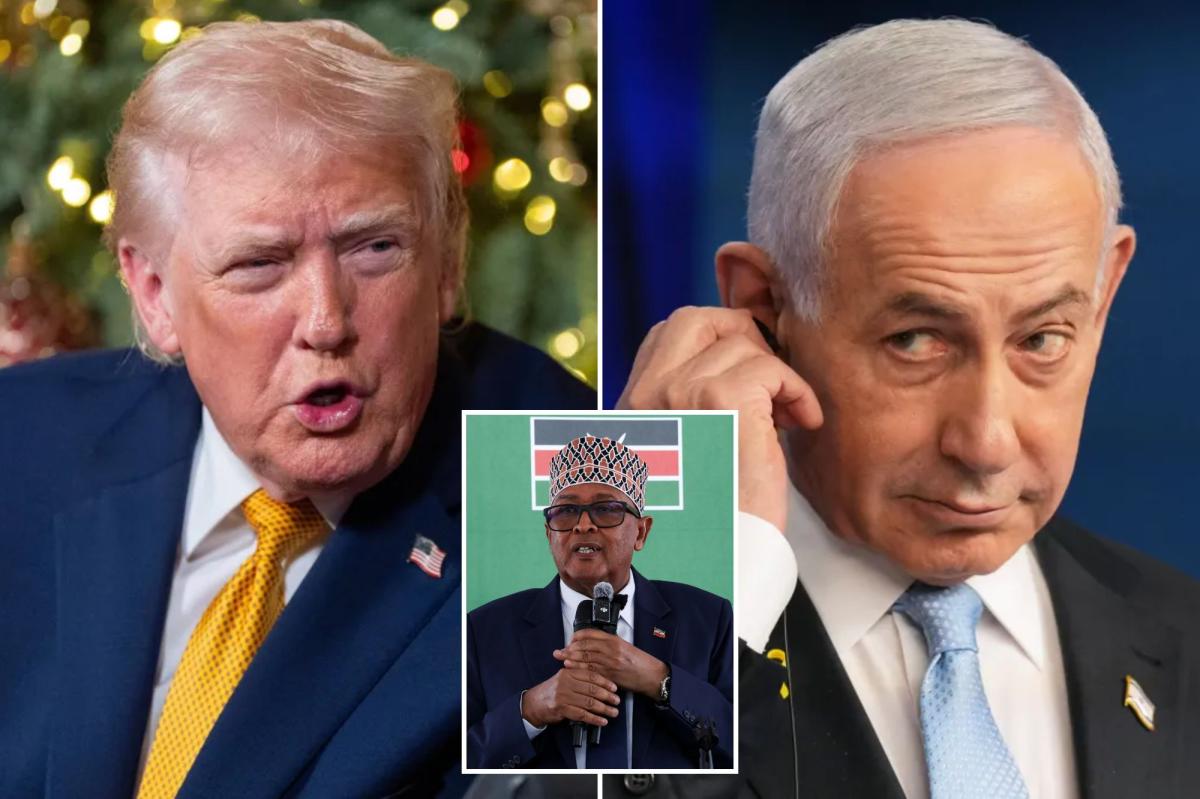 Exclusive | Trump tells The Post he’s not ready to embrace Somaliland independence — unlike pal Netanyahu