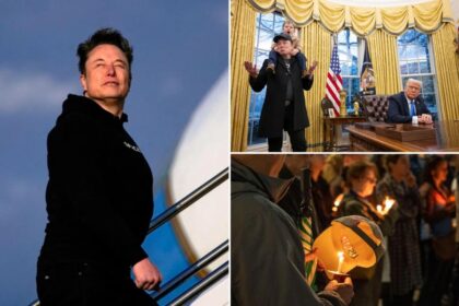 Elon Musk celebrates 9% cut in federal workers: ‘matrix was reprogrammed’