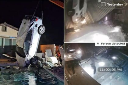 Wild video shows speeding car going airborne, ejects driver into backyard Nevada pool