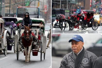 Exclusive | NYC’s horse carriages must get city vet inspection or have license revoked: 11th-hour Adams order