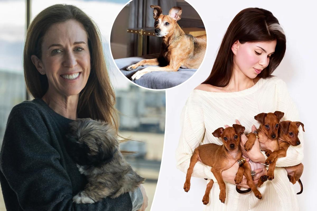 Exclusive | I spent K cloning my dead dog — here’s what it’s like having a duplicated pup