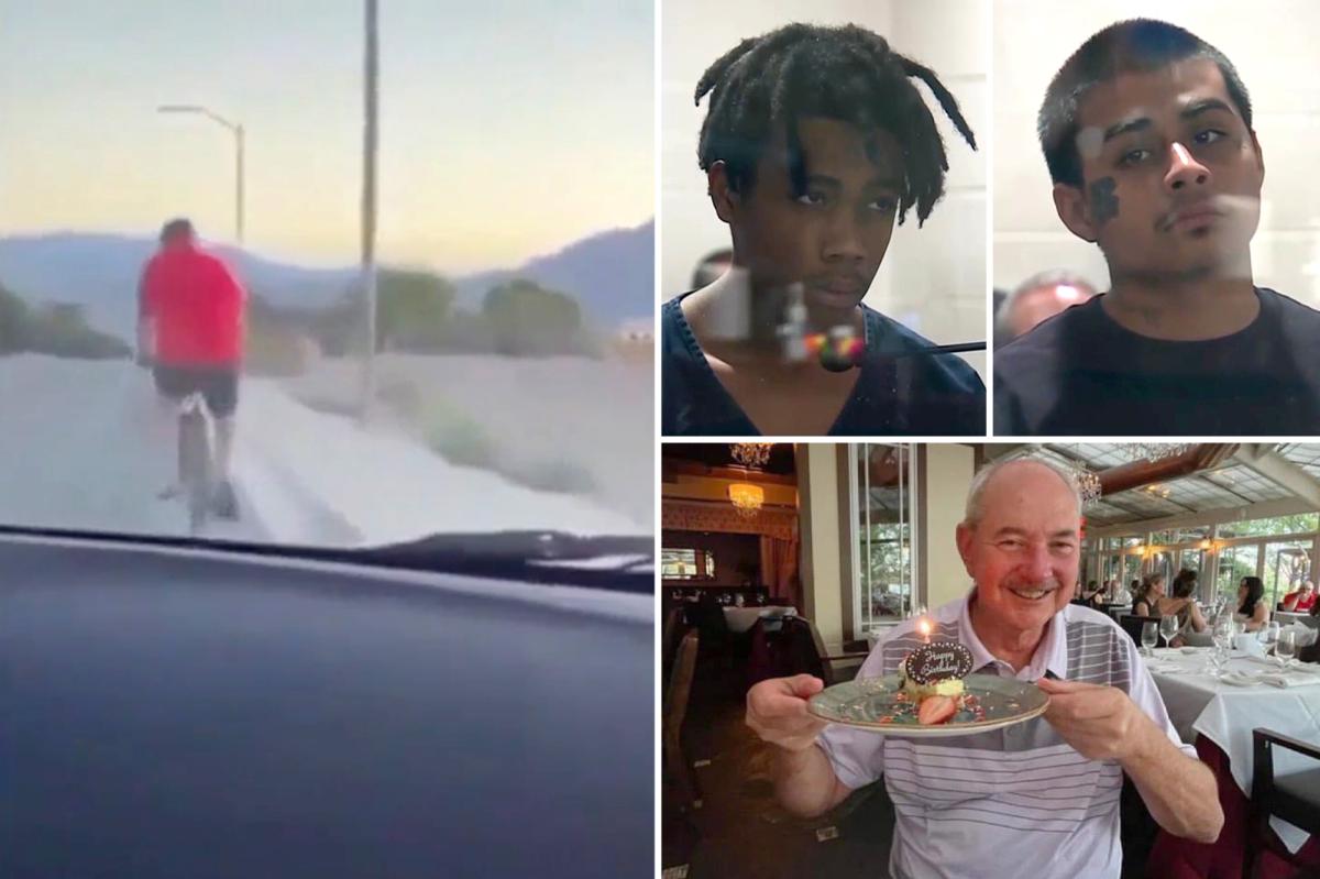Vegas killers who intentionally mowed down retired police chief in viral video learn their fate