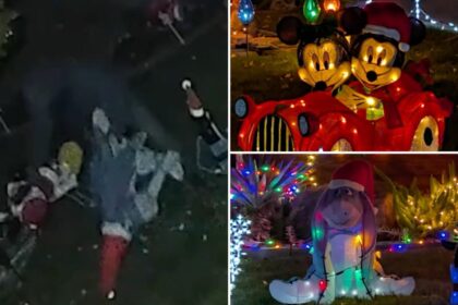 Mickey Mouse house heist: Thief swipes California family’s Disney Christmas display