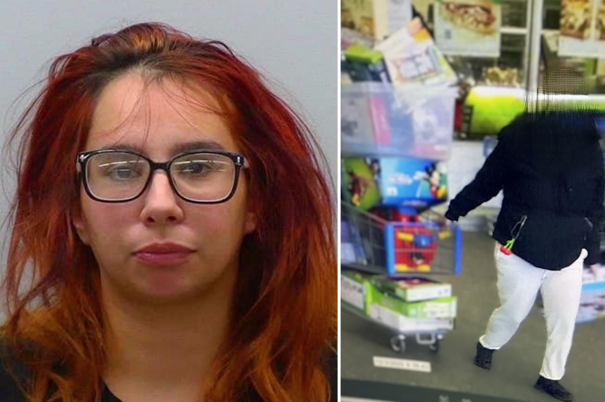 Career shoplifter tries to rob Walmart during ‘shop with a cop’ event that brought over dozen uniformed officers into store
