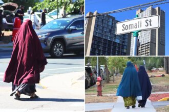Inside ‘Little Mogadishu’: Minnesota’s beleaguered Somali community under a cloud of fraud and Trump attacks