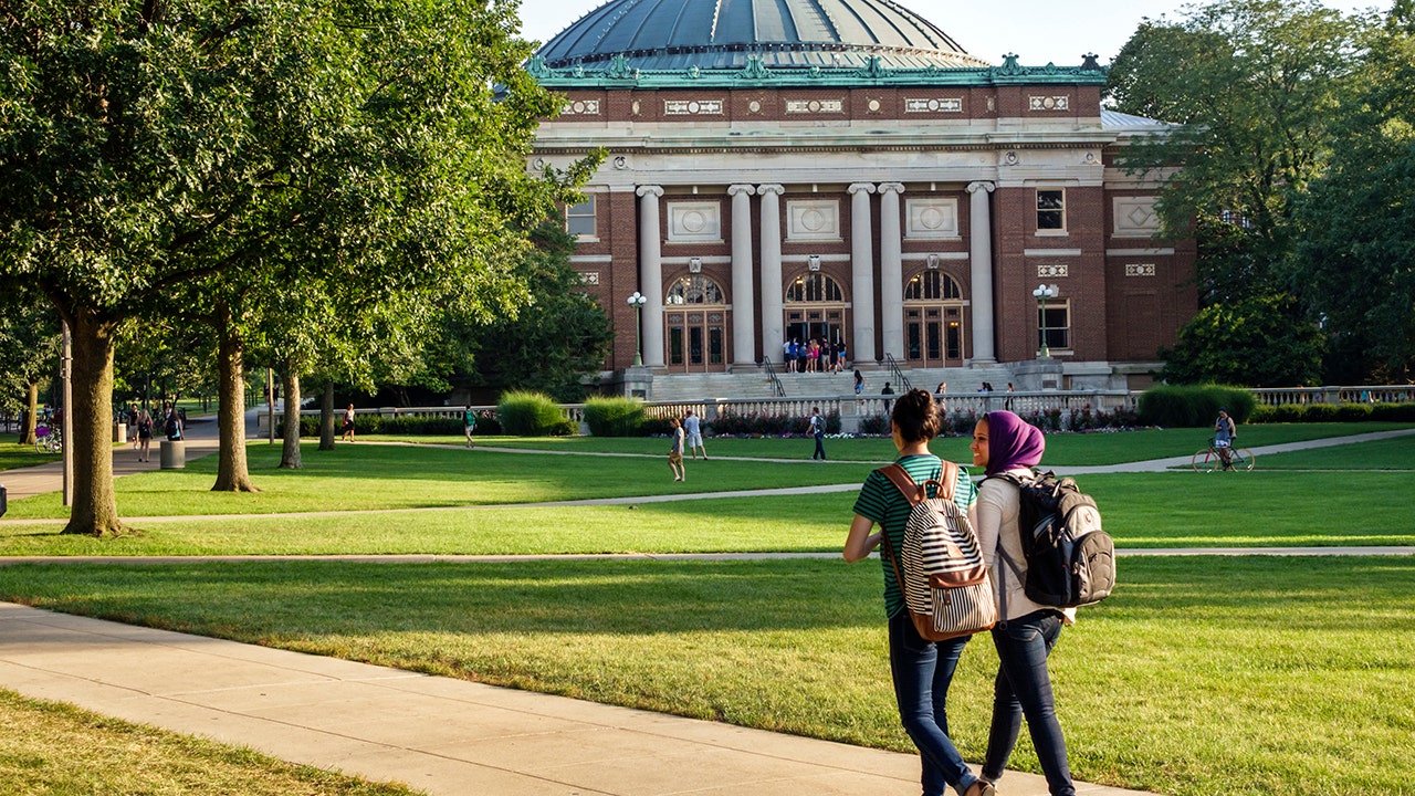 Leaked University of Illinois lecture material blames Trump for ‘white supremacy,’ embraces far-left activism