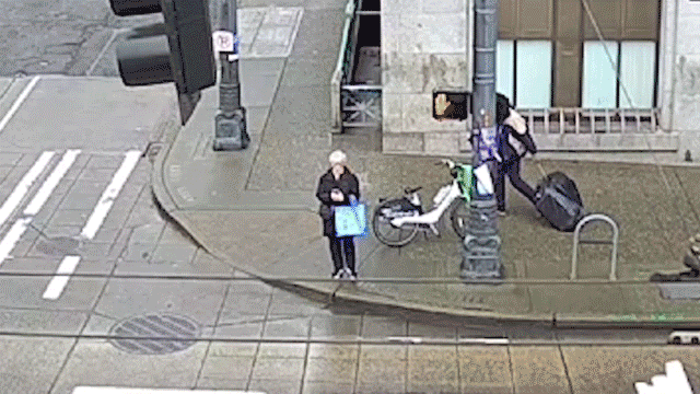 Man attacks elderly woman in Seattle