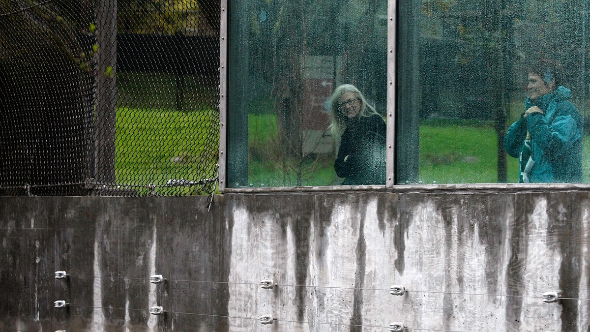 zoo visitors standing behind window during rainy day