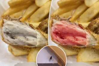 Sneaky customers are using AI to alter pictures of takeout order for a refund: ‘This is not funny’