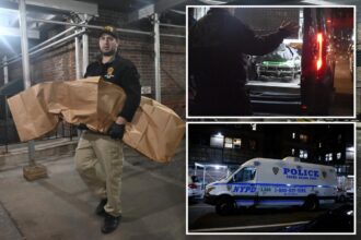 Exclusive | Chinatown maniac was placed in drug program to reduce 90% of prior prison sentence — months before killing own elderly mom