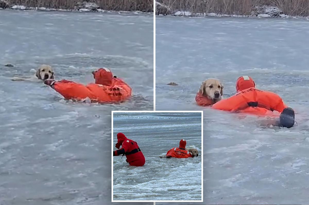 Dog’s dramatic rescue caught on camera after he falls through ice on Rhode Island pond