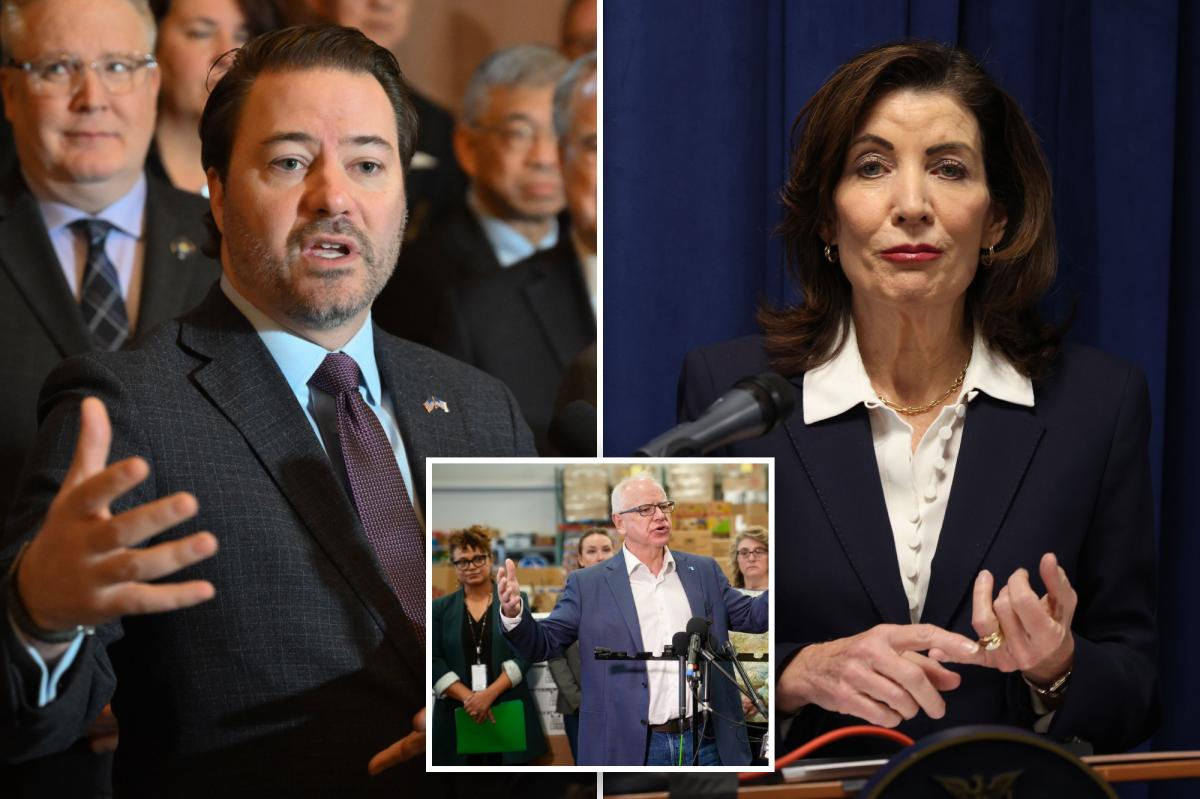 GOP lawmakers demand Gov. Hochul root out Minnesota-style fraud with independent audit