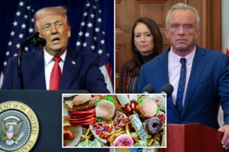 Trump admin ‘turning food pyramid upside down’ — pushing protein, fats