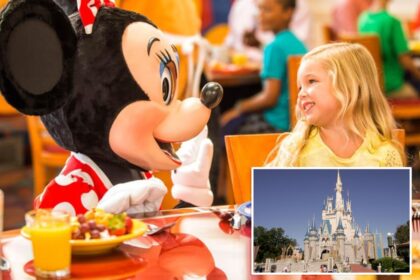 Disney quietly changes course on controversial meal plan changes