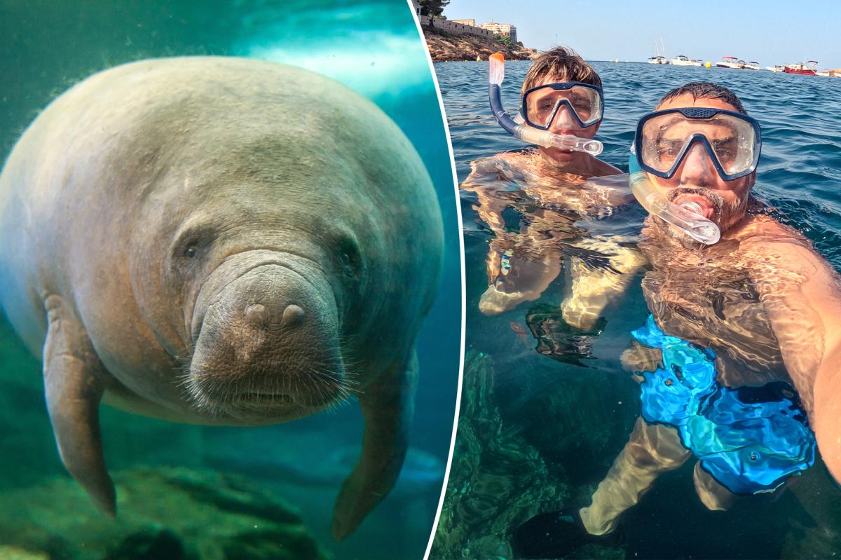 I’ve been lying to my son for 24 years — the deception has taken over my whole life