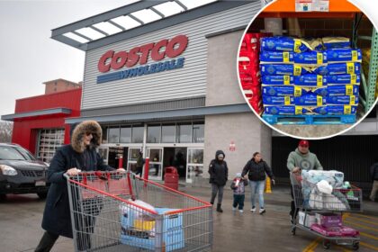 Costco shoppers name the items they say make their  annual membership worthwhile