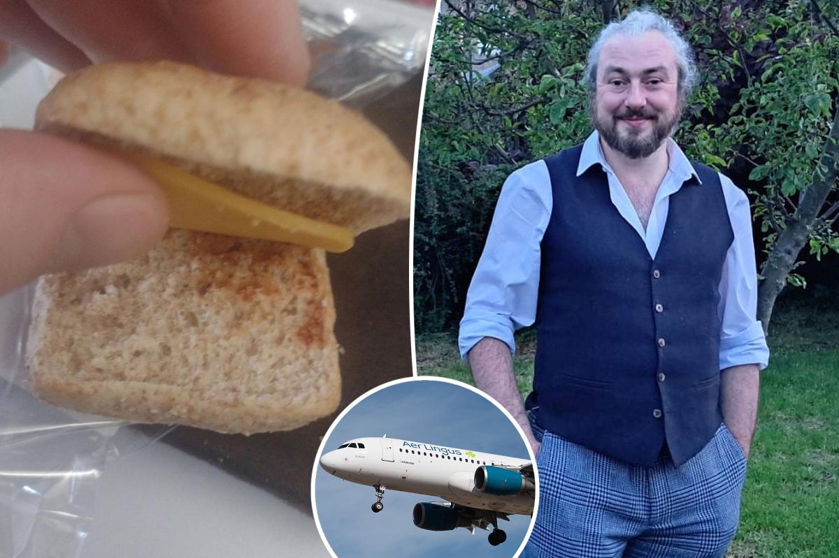 Fed-up passenger swears off airline after being served appallingly bad meal: ‘World’s worst sandwich’