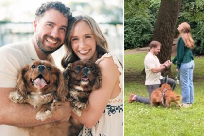 Exclusive | Puppy Love: Couple with same dog breed met on apps and fell in love — and so did their pets