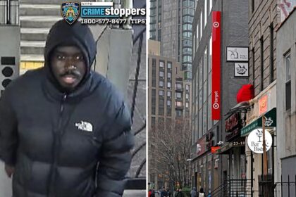 Brazen NYC carjacker swipes vehicle where blind senior, 72, was waiting for son: ‘He didn’t know what was happening’