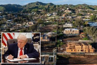 Exclusive | Trump signs executive order for feds to take over LA’s ‘nightmare’ wildfire rebuild in huge boost for victims