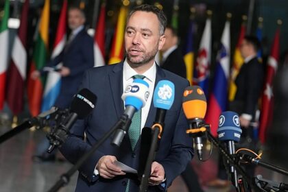 US talk on Greenland ‘incomprehensible’ and hostile, Belgian FM says